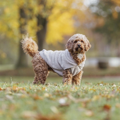 Trixie Hund Hoodie Design Carson Sand